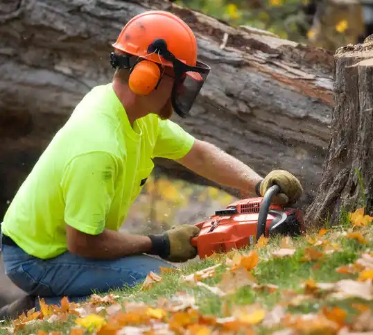 tree services Pathfork